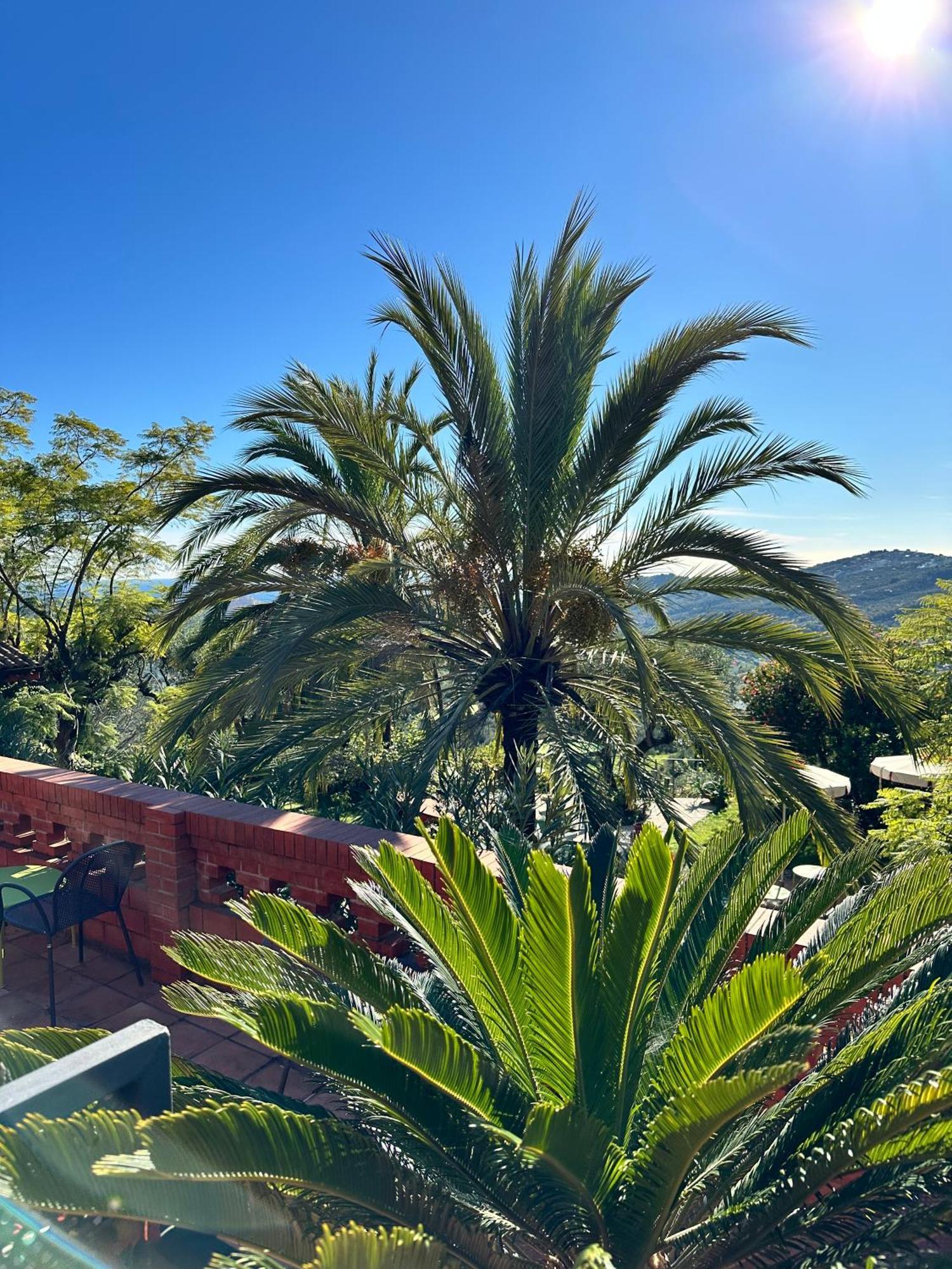 Aparthotel Relais San Damian Imperia Exterior foto