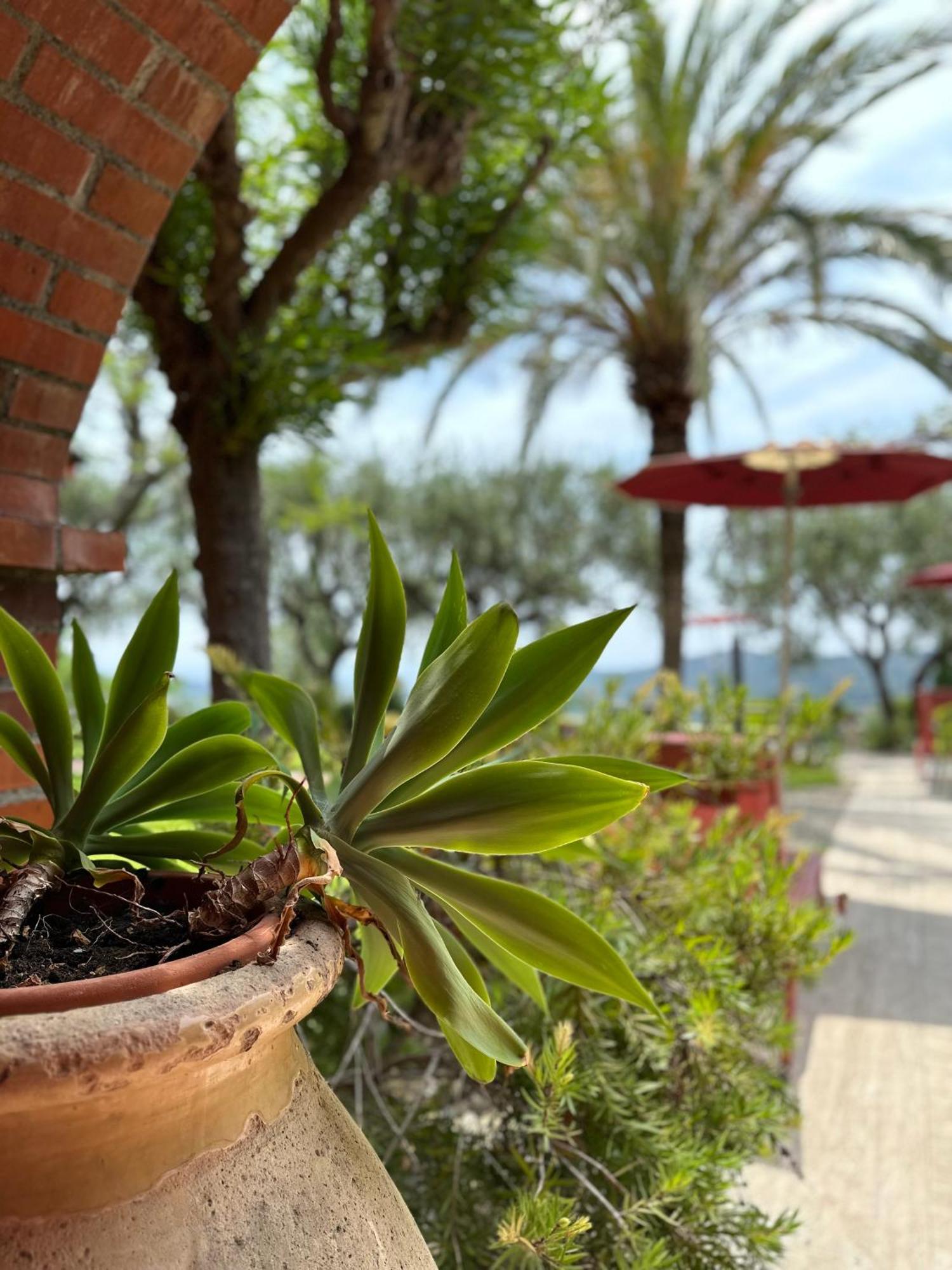 Aparthotel Relais San Damian Imperia Exterior foto